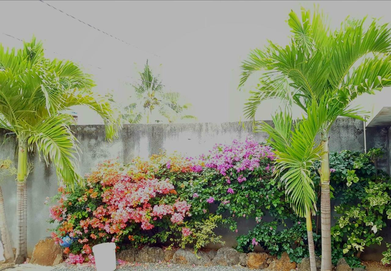 Bluebay Appartments Blue Bay Ngoại thất bức ảnh